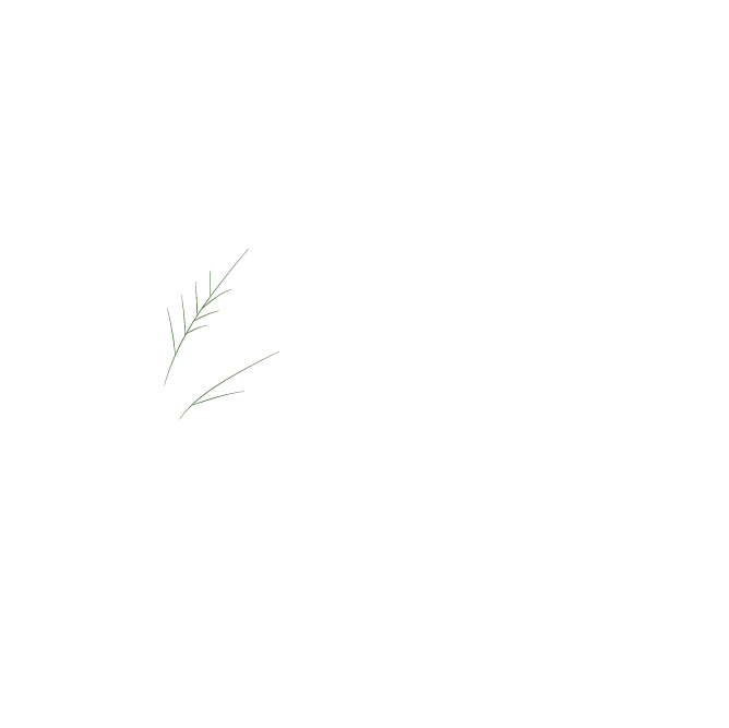 Mercado B2bio