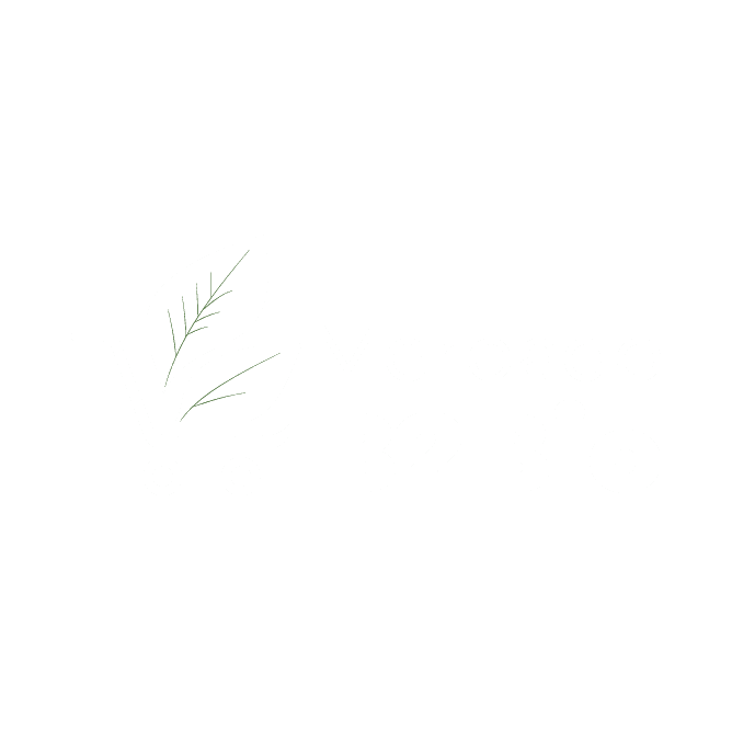Mercado B2bio